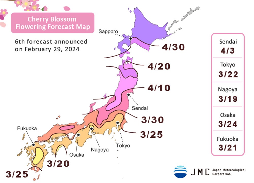 Sakura season in Japan 2024